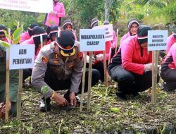 Hutan Mangrove Dihijaukan