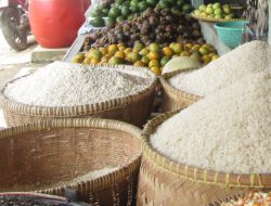 Harga Beras Naik Tinggi. Di Pengecer Sampai Rp 13.500