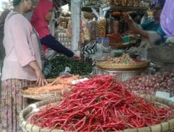 Dalam Sepekan, Harga Cabai Naik Drastis