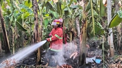 Kebakaran Lahan Bikin Panik Warga Komplek Perumahan