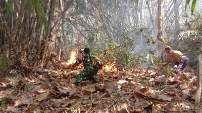 Lahan 2 Hektar Terbakar Gegara Puntung Rokok