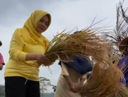 Teti Rohatiningsih Beri Solusi Bagi Petani Cilacap