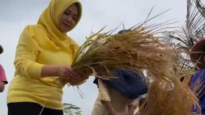 Teti Rohatiningsih Beri Solusi Bagi Petani Cilacap