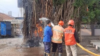 Beringin Alun-alun Majenang Terbakar