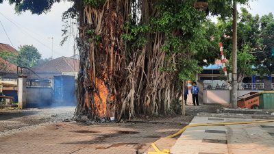 Beringin Alun-alun Terbakar. Ini Kronologi Versi Warga