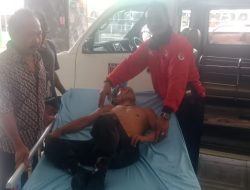 Tersengat Tawon Hingga Pingsan di Atas Pohon