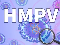 HMPV Terdeteksi di Indonesia: Kenali Gejala dan Cara Penularannya