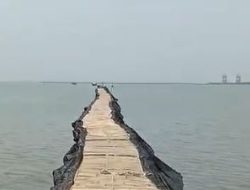 Terkait Penanganan Pagar Laut, Bakamla Enggan Cawe Cawe