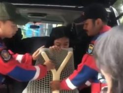 Piercing Tersangkut di Kursi, Malah Digoda Pemadam Kebakaran