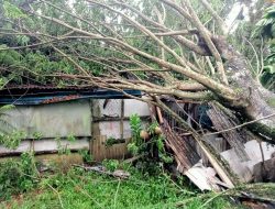 Angin Kencang di Cilacap Berakibat 4 Rumah Rusak. 1 Keluarga Mengungsi