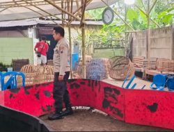 Polisi Bongkar Arena Sabung Ayam di Cilacap