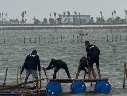 Mandor Pagar Laut Hingga Nelayan, Tiba-tiba Menghilang