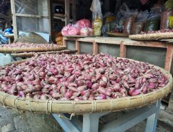 2 Pekan Jelang Lebaran, Harga Sembako Berupa Cabai dan Telor Turun. Minggu Depan Pasti Naik