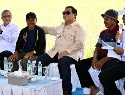 Prabowo Klaim HPP Gabah Untungkan Petani