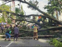 Pohon Besar Tumbang dan Tutup Jalan, Polres Garut Gerak Cepat