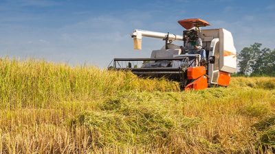 Indonesia Siap Ekspor Beras ke Malaysia Setelah Ada Restu Prabowo