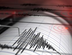 Gempa M 5,3 Guncang Tanimbar, Maluku: Warga Panik Berhamburan