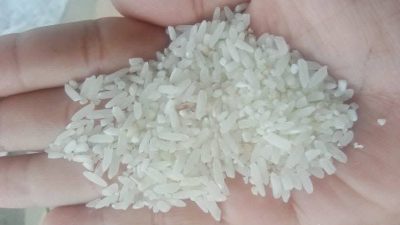 Mentan Ungkap Praktik Beras Oplosan, Ratusan Merek dan Perusahaan Diselidiki