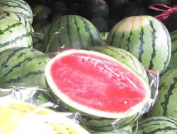 10 Buah Rendah Gula yang Gampang Dicari, Cocok untuk Asupan Harian