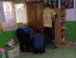 Damkar Evakuasi Musang di Sekolah pada Hari Pertama Masuk