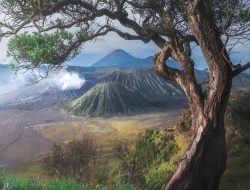 Pesona Wisata Gunung Bromo: Destinasi Sunrise Terbaik Indonesia