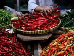 Harga Cabai Rawit Terus Meningkat di Berbagai Wilayah