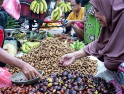 Harga Jengkol Naik di Pasar Minggu