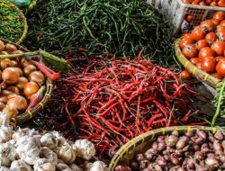 Harga Pangan Tetap Mahal: Beras dan Cabai Rawit Masih Naik