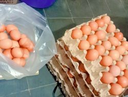 Harga Telur Naik Turun? Ini Penyebab Utamanya!