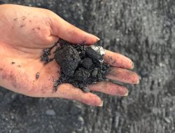 Busro Muqodas ke KPK Bawa Kajian Korupsi Tambang dari Muhammadiyah