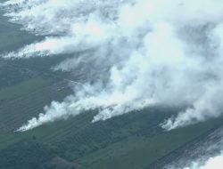 Wapres Gibran Tegaskan Pengawasan Posko Kebakaran Hutan dan Penyaluran BSU di Riau