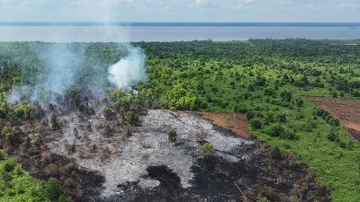 Menhut Klaim Kebakaran Hutan Sudah Terkendali