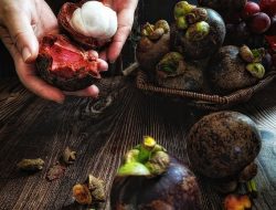 Ragam Manfaat Kulit Manggis untuk Kesehatan dan Cara Konsumsinya