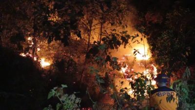 BNPB Beberkan 44 Pelaku Karhutla Riau, Tegaskan Ulah Manusia Jadi Pemicu Utama