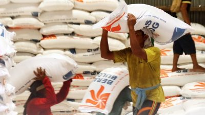 Tegas, Menteri Amran Tindak Penjual Beras Oplosan