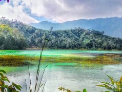 Telaga Warna Dieng: Keajaiban Alam yang Tak Pernah Membosankan