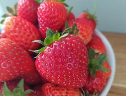 Manfaat Buah Strawberry untuk Kesehatan Tubuh