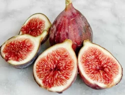 Manfaat Buah Tin: Rahasia Sehat dari Buah Surga Untuk Kesehatan Tubuh