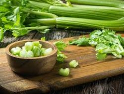 Manfaat Daun Seledri untuk Kesehatan