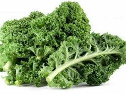 Mengenal Sayur Kale dan Manfaatnya untuk Kesehatan