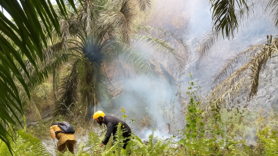 BMKG Masih Temukan Hotspot di Bangka Meski Sudah Masuk Kemarau Basah