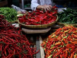 Harga Mulai Nurun di Pasar Padang, Warga Diminta Waspada Perubahan