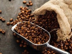 Analis AS Akui Kualitas Kopi Indonesia. Buka Peluang Perbesar Ekspor ke Jepang