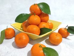 Manfaat Buah Jeruk: Rahasia Sehat dari Buah Segar yang Kaya Nutrisi