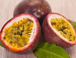 Mengungkap Beragam Manfaat Buah Markisa untuk Kesehatan