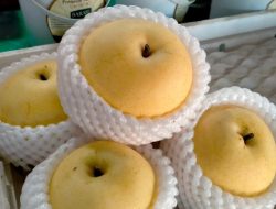 Lawan Batuk Secara Alami dengan Manfaat Buah Pir yang Kaya Nutrisi