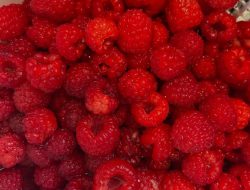 Raspberry: Buah Kecil dengan Khasiat Besar