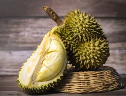 Manfaat Durian untuk Kesehatan: Rasa Nikmat dan Kaya Nutrisi