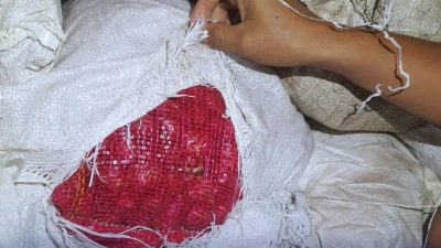 Patroli, Bakamla Gagalkan Penyelundupan Bawang Merah. Tahan Kapal Penyeludup