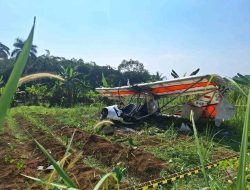 Pesawat Latih Jatuh di Bogor, Mantan Kadispenau Tewas dalam Kecelakaan